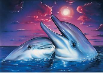 Diamond Painting 30x40cm Delfinpaar 