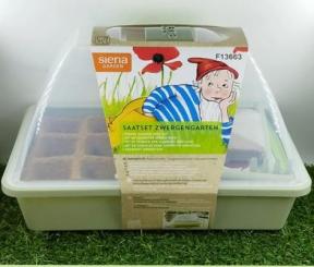 Saatset Zwergengarten 