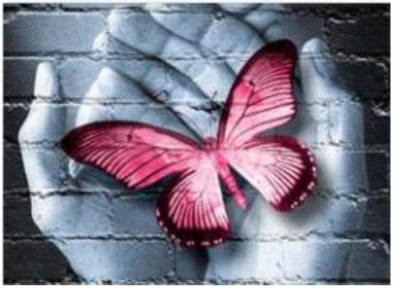Diamond Painting 30x40cm Schmetterling in der Hand 